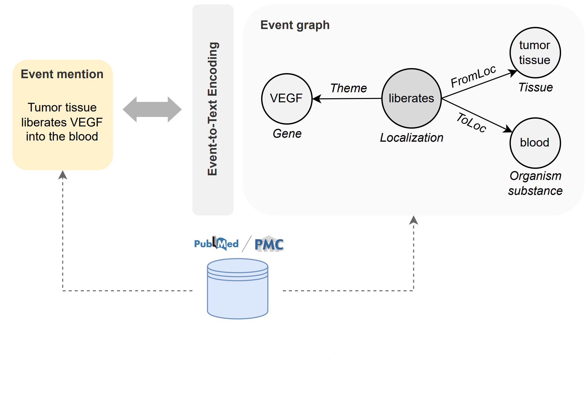 Text-to-Text Extraction and Verbalization of Biomedical Event Graphs